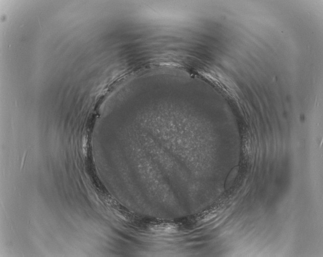 X0000088030551200706011352