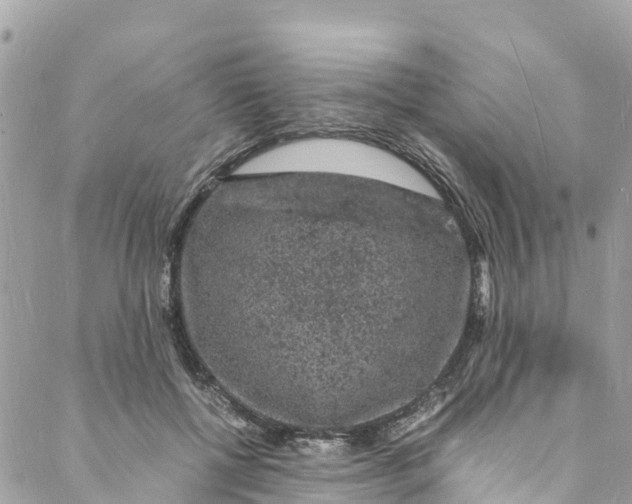 X0000088030552200706011352