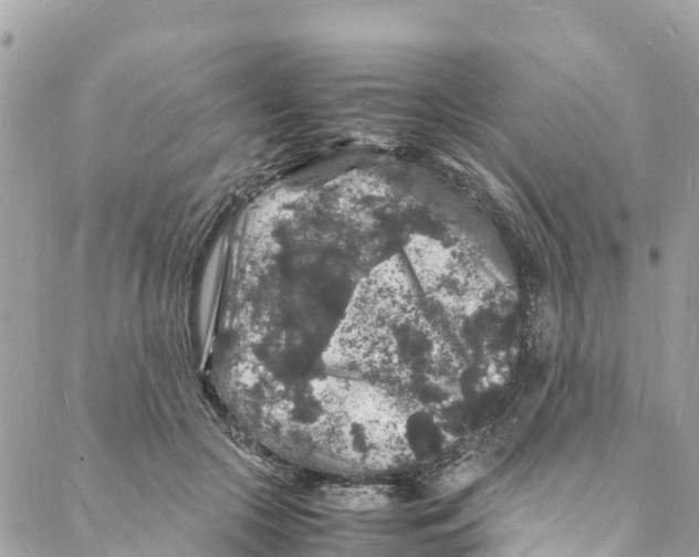 X0000088030553200706011352