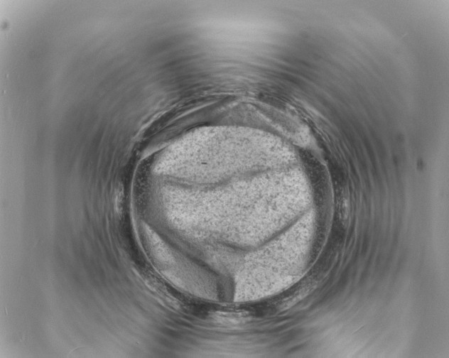 X0000088030556200706011352