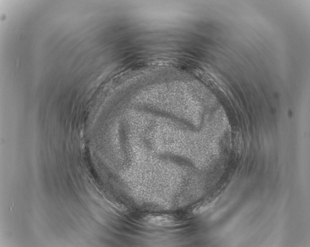 X0000088030557200706011352