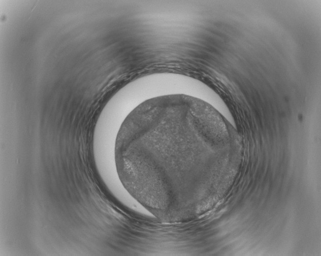 X0000088030558200706011352