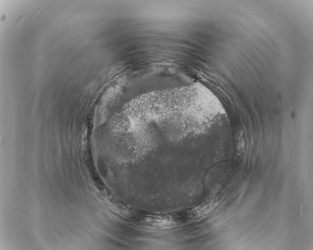 X0000088030559200706011352