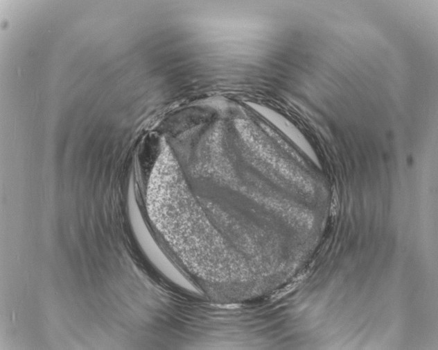 X0000088030560200706011352