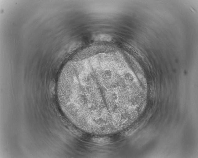 X0000088030561200706011352