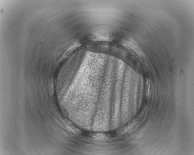 X0000088030562200706011352