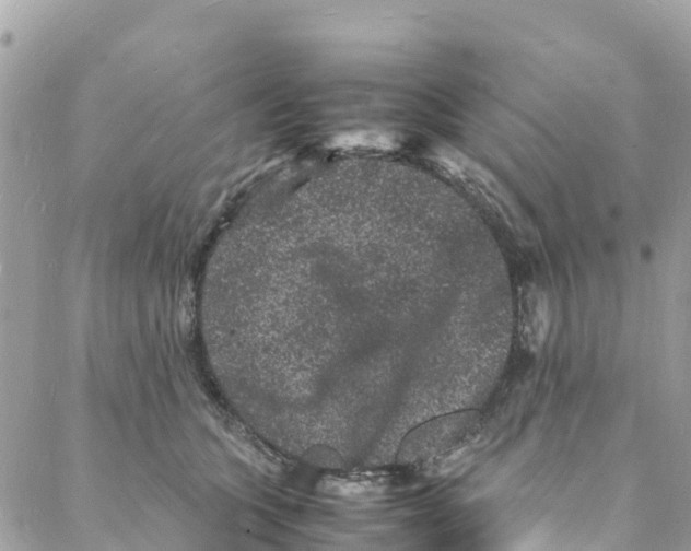 X0000088030563200706011352