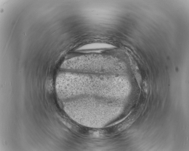 X0000088030564200706011352