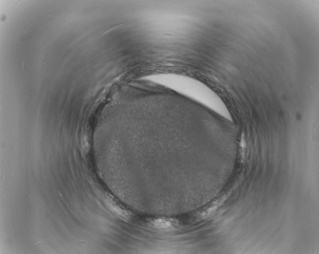 X0000088030566200706011352