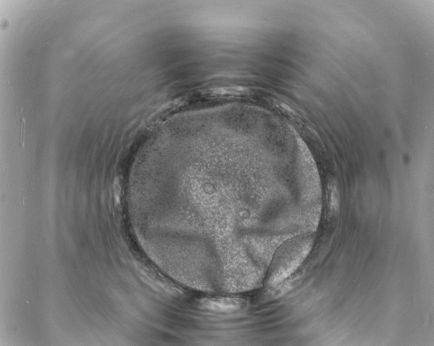 X0000088030567200706011352