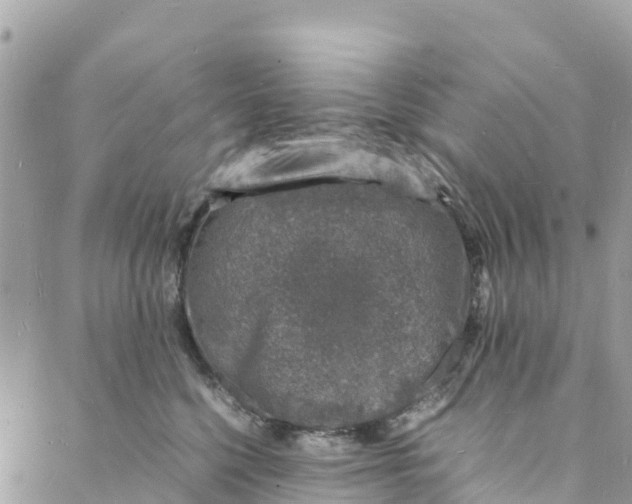 X0000088030568200706011352