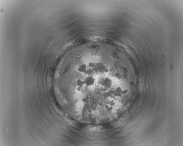 X0000088030569200706011352