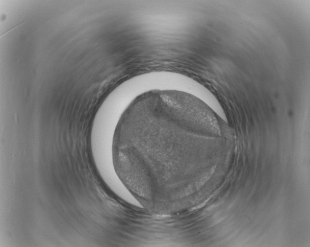 X0000088030570200706011352