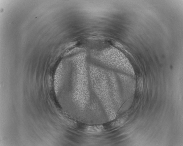 X0000088030571200706011352