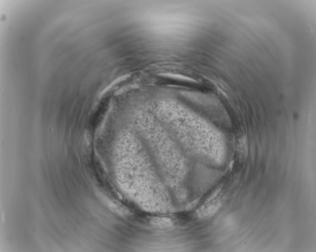 X0000088030572200706011352