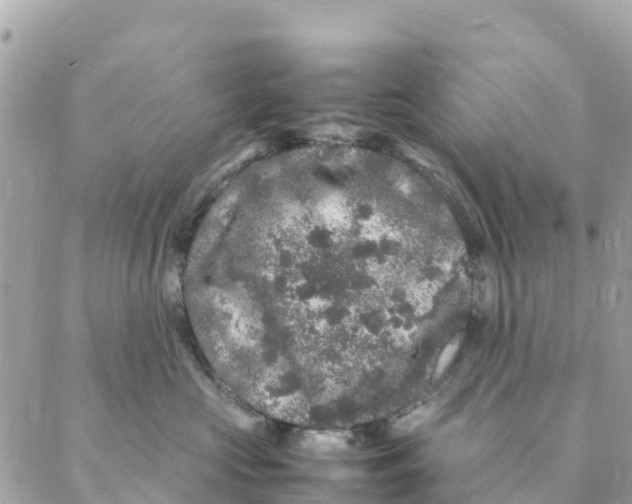 X0000088030573200706011352