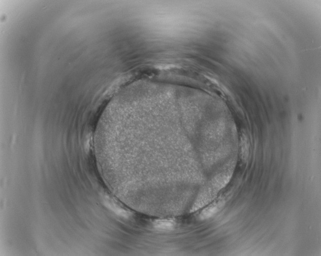 X0000088030574200706011352