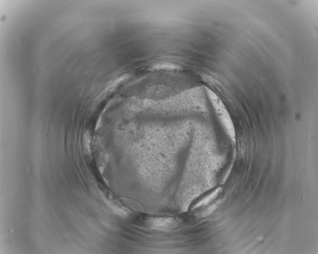 X0000088030575200706011352