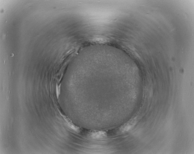 X0000088030576200706011352