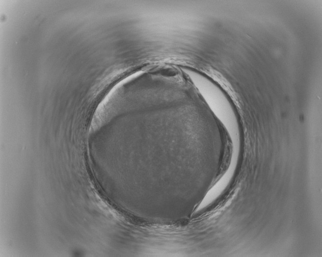 X0000088030577200706011352