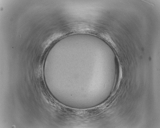 X0000088030579200706011352