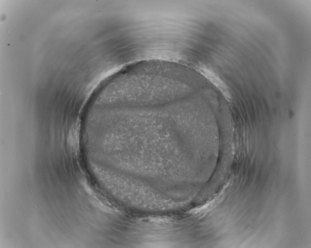 X0000088030580200706011352