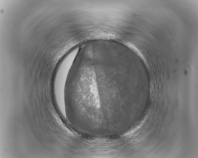 X0000088030581200706011352