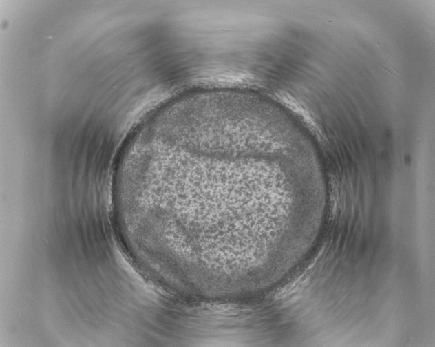 X0000088030582200706011352