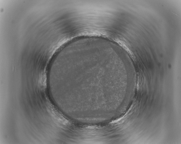 X0000088030584200706011352