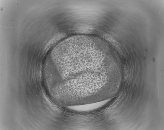 X0000088030586200706011352