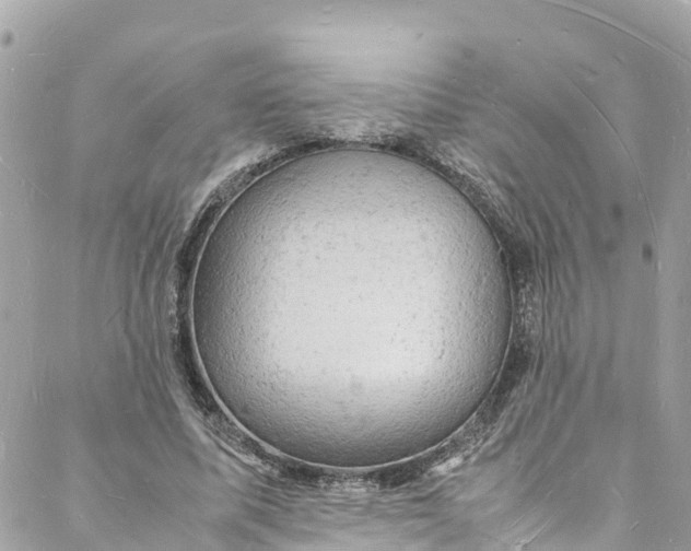 X0000088030587200706011352