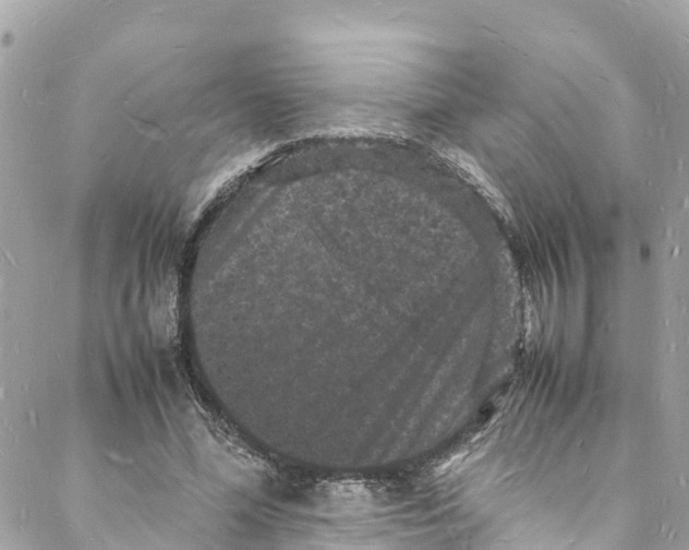 X0000088030588200706011351