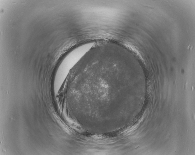 X0000088030589200706011351