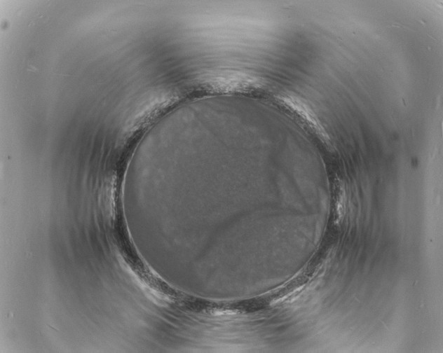 X0000088030590200706011351