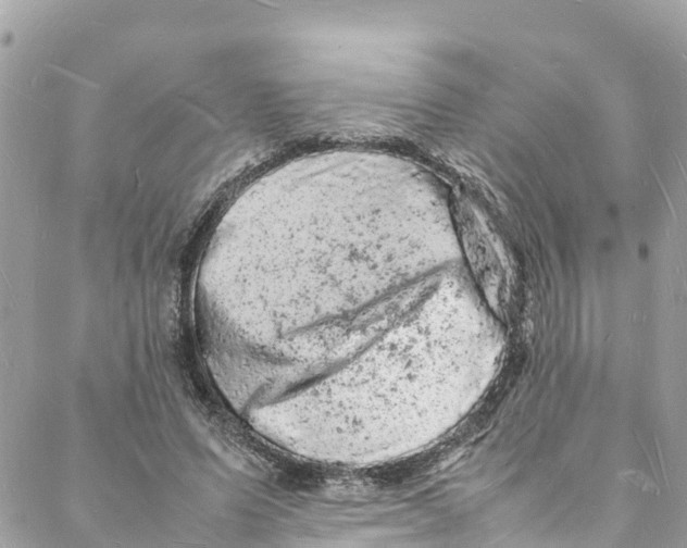 X0000088030591200706011351