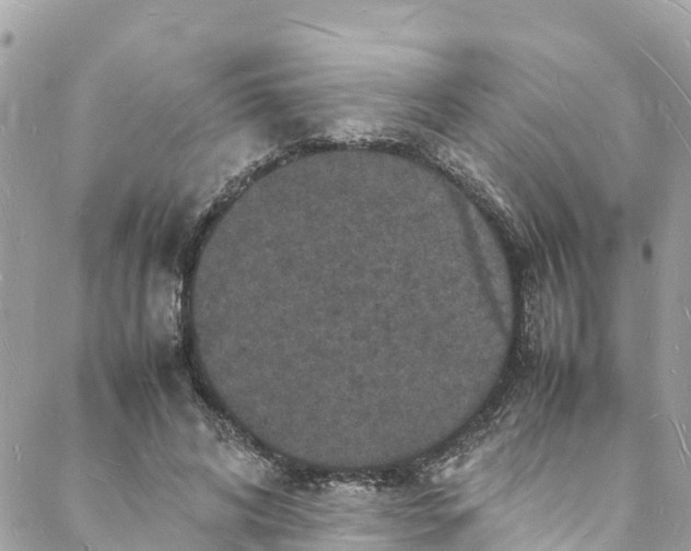 X0000088030592200706011351