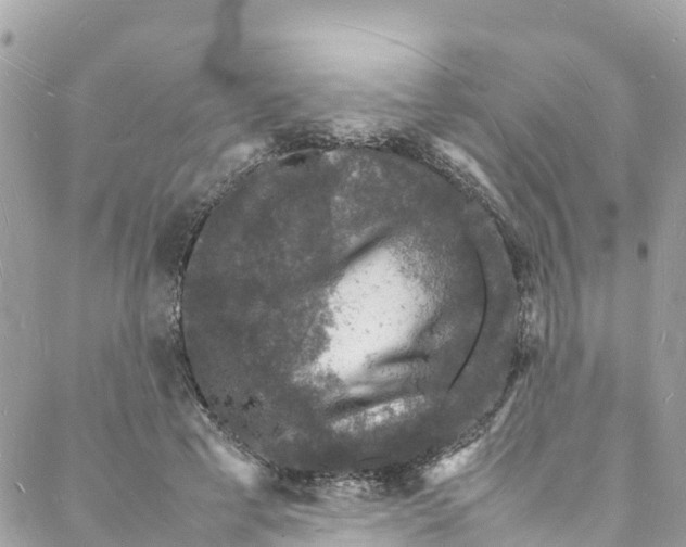 X0000088030593200706011351