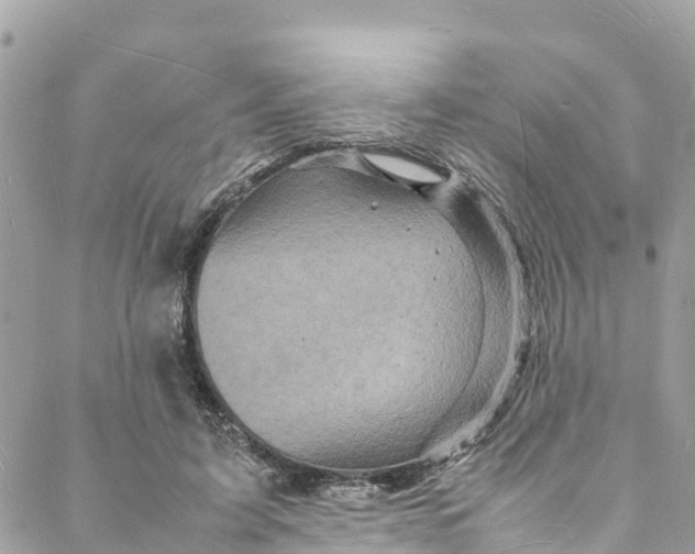 X0000088030595200706011351