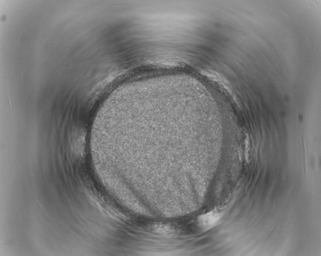 X0000088030596200706011351