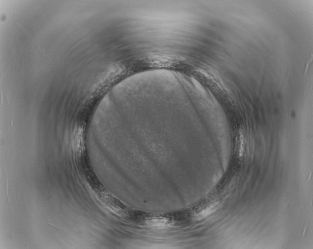 X0000088030598200706011351