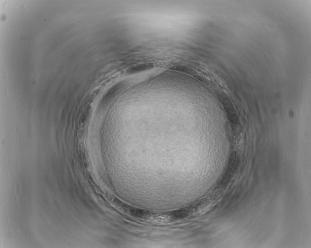 X0000088030599200706011351