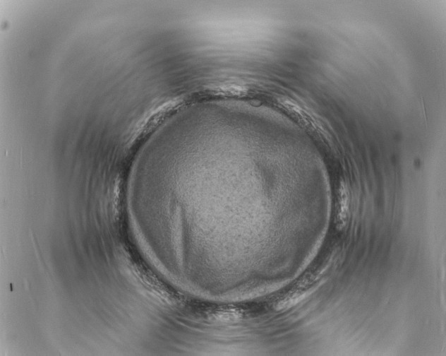 X0000088030600200706011351