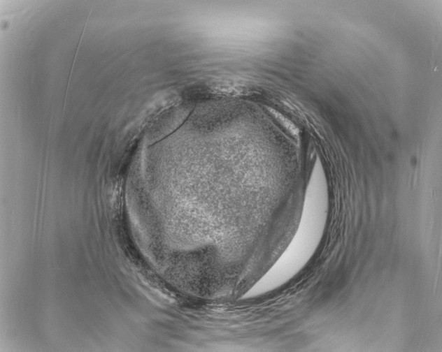 X0000088030601200706011351