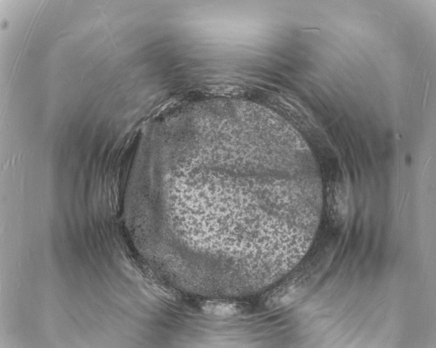 X0000088030602200706011351