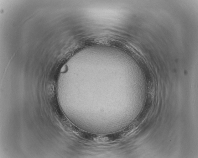 X0000088030603200706011351