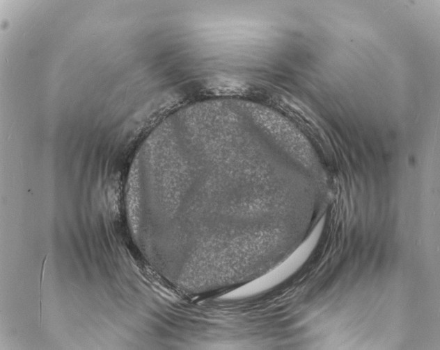 X0000088030604200706011351