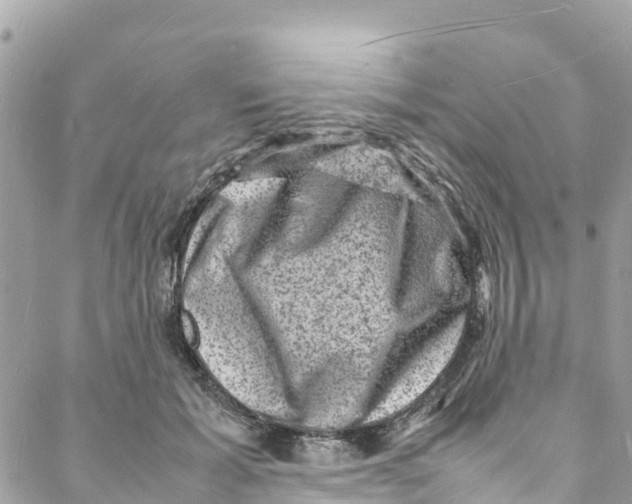 X0000088030605200706011351