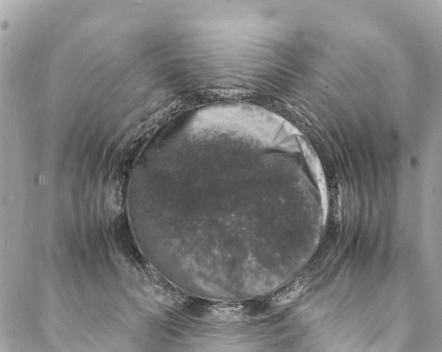 X0000088030606200706011351