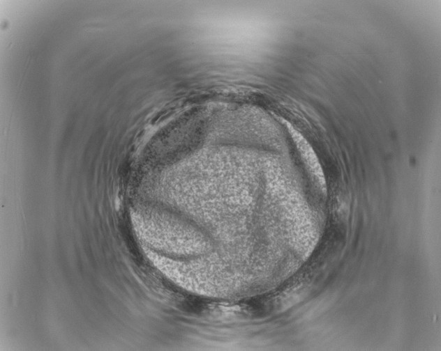 X0000088030607200706011351