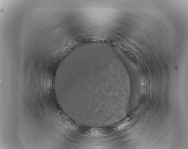 X0000088030608200706011351